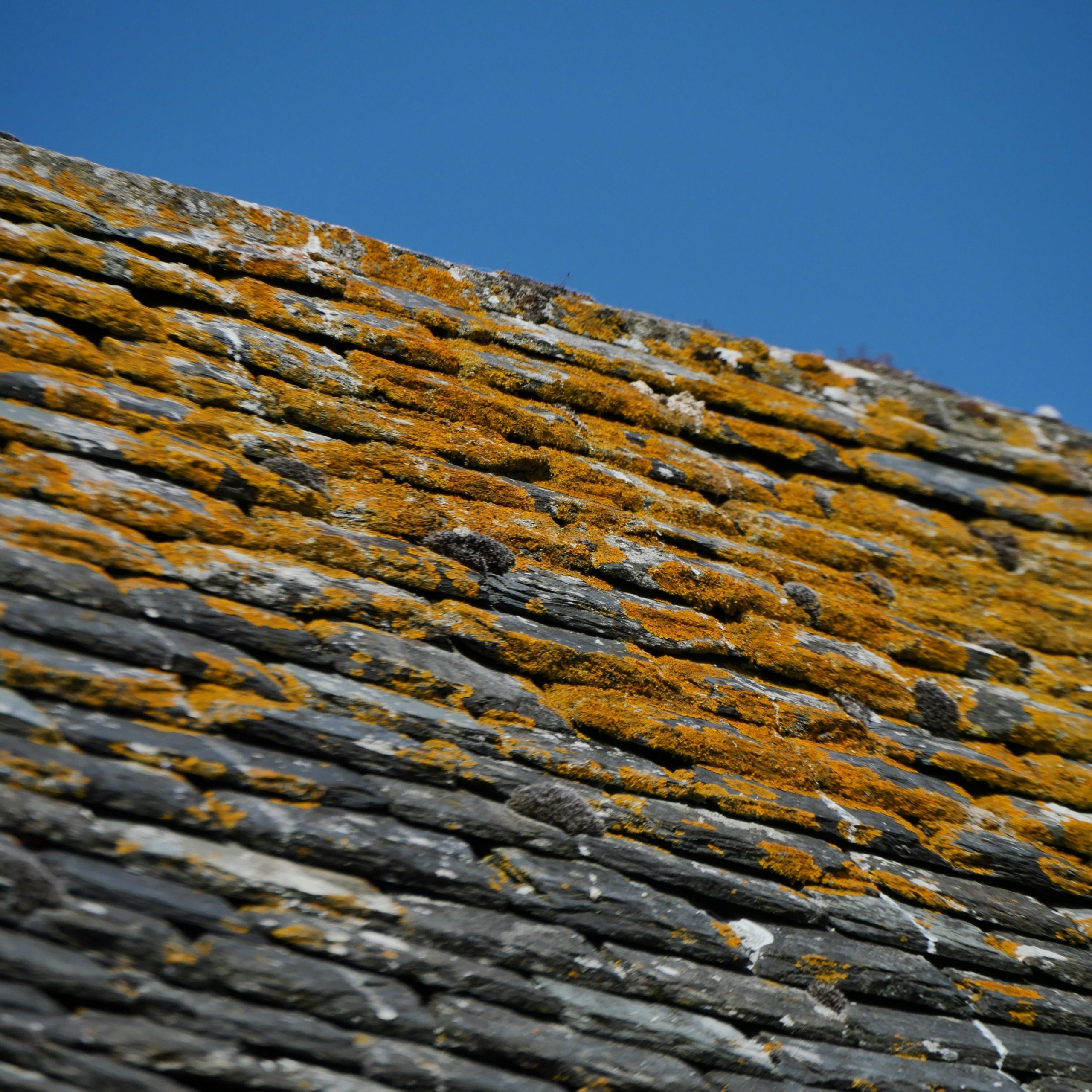 démoussage de toiture yvelines